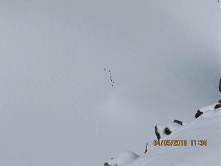 БАРНАУЛЬСКОЕ СООБЩЕСТВО Primera Club - Часть 3-img_5225.jpg