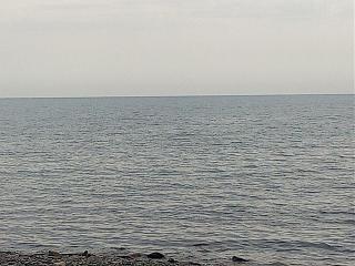 Форум подыхает?-img_20180615_144033.jpg