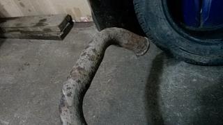 Глушитель?-20180729_155356.jpg