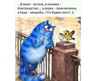Форум подыхает?-kot.jpg