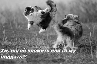 выпустить пар!!!-image011.jpg