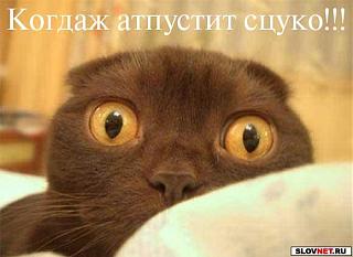 выпустить пар!!!-09042005_1.jpg