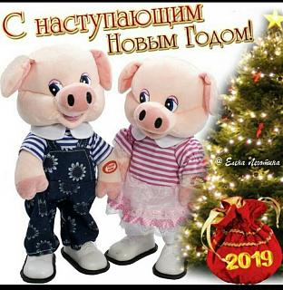 С наступающим новым годом вас,примьероводы!!!-img-20181231-wa0014.jpg