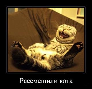 Моторное масло, какое заливаем?-292076_755709.jpg