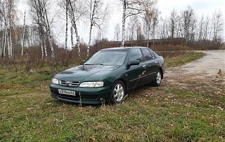 primera p11se. юбилейный пост :)-primera.jpg