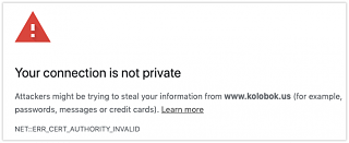 Ошибки на сайте / Решение проблем-privacy-error-2021-04-01-09-31-34.png