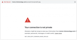 Ошибки на сайте / Решение проблем-privacy-error-2021-04-26-12-46-33.png