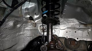 Жидкие подкрылки от Антикор.рф на Nissan Primera P12-20210606_164342.jpg