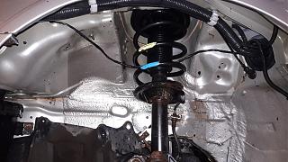 Жидкие подкрылки от Антикор.рф на Nissan Primera P12-20210606_164247.jpg