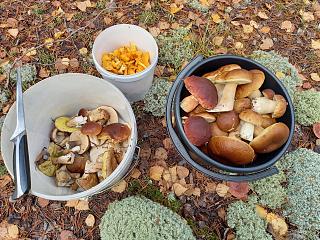 как я провел выходные в одной фотографии-20210925_100017.jpg