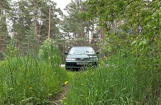 primera p11se. юбилейный пост :)-5jun2022.jpg
