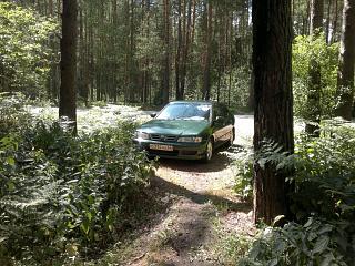 primera p11se. юбилейный пост :)-29.jpg