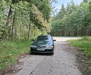 primera p11se. юбилейный пост :)-30.jpg