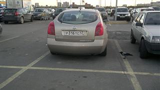 Случайные встречи . ПИТЕР.-2012-10-07-082.jpg