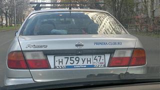 Случайные встречи . ПИТЕР.-261020121387.jpg