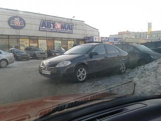 Случайные встречи . ПИТЕР.-img_20121217_115059.jpg