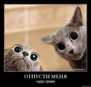Помогите решить задачу 1 класс (прописи)!!!-4.jpg
