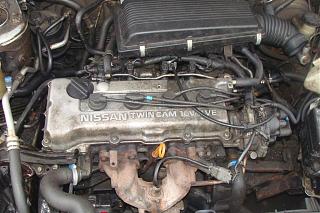 Хочу купить примеру-dsc04943.jpg