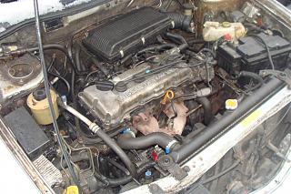 Хочу купить примеру-dsc04944.jpg