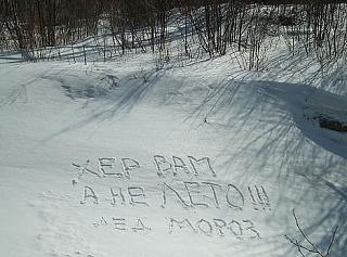Случайные встречи. МОСКВА и др. - Часть 2-45691d1363722297-prikolnoe-foto