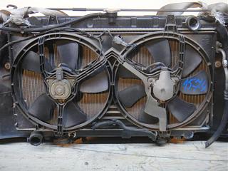 Хочу заказать ноускат-00038360_5-1-.jpg