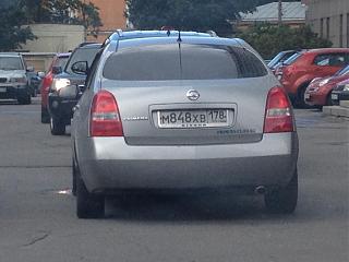 Случайные встречи . ПИТЕР.-img_6358-1-.jpg