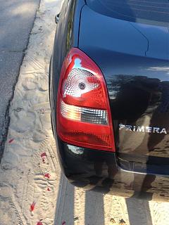 [P12] ПРОДАЮ ЗАПЧАСТИ на NISSAN PRIMERA P12 - Часть 2-img_0556.jpg