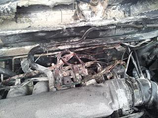 Жгут двигателя-12345.jpg