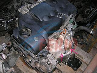 Лямбда-зонд-dvs-qg18de-dlya-nissan-almera-n16-nissan