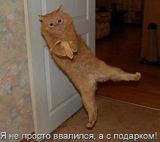 ~*~Юля~*~ с Днем Рождения!!!!-31.jpg