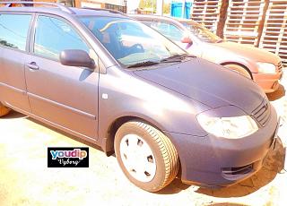 Plasti Dip / Жидкая резина-image.jpg
