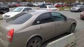 Случайные встречи . ПИТЕР.-wp_20141105_002.jpg