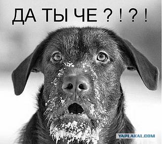 Бросаем КУРИТЬ-2844275.jpg