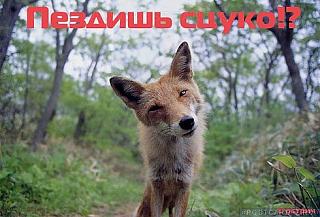 А какие вам нравятся женские прически? а так же цвет волос-854.jpg