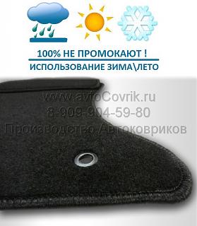 Велюровые АВТОКОВРИКИ  для  Nissan-lyvers.jpg