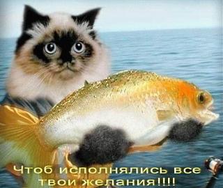 ROW111 С Днем рождения!!!!!-62glq3kpp2u.jpg