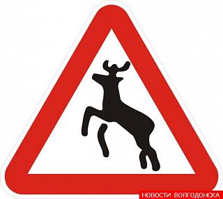 Помогите!Гиббоны отобрали права!((-1f89a6.jpg