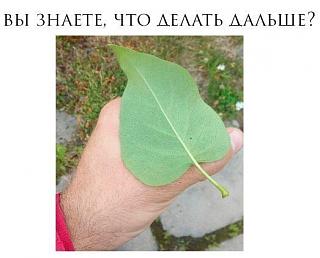 Ностальгия о прошедшем времени-11926294.jpg