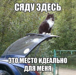 Ностальгия о прошедшем времени-clsvufkxysw.jpg