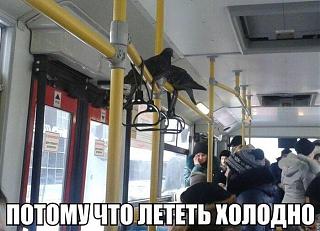 Ностальгия о прошедшем времени-mnsdrstdgqa.jpg