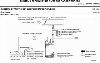 Показания диагностики nissan primera p12 программой TECU 3-1.jpg