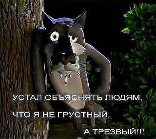 Форум подыхает?-volk.jpg